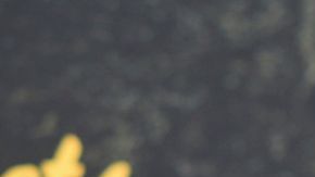 Wood comentó su interés por cómo avanza la próxima entrega del universo de Tolkien