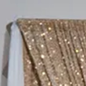 Crean campaña en GoFundMe para apoyar a reportera hispana detenida por ICE en Tennessee