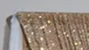 Crean campaña en GoFundMe para apoyar a reportera hispana detenida por ICE en Tennessee