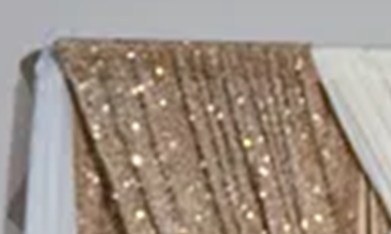 Crean campaña en GoFundMe para apoyar a reportera hispana detenida por ICE en Tennessee