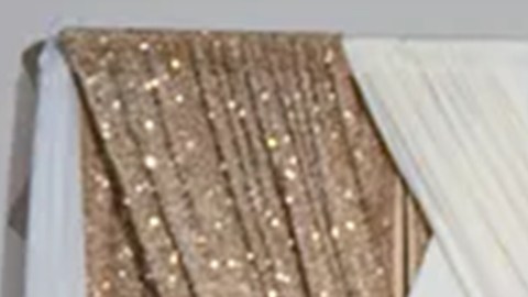 Crean campaña en GoFundMe para apoyar a reportera hispana detenida por ICE en Tennessee