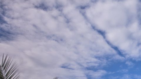 La exhibición conecta tradición, memoria y puesta en escena