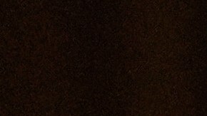 El ataúd de Willie Colón entró a la iglesia rodeado de trombonistas y otros músicos.