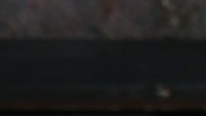 Gaby Spanic, actriz venezolana.