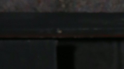 Gaby Spanic, actriz venezolana.