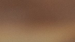 La empresa Mama Grande de Mission ha iniciado un retiro preventivo de sus populares gorditas debido a la presencia de trigo y soya no declarados en su etiqueta.