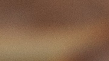 La empresa Mama Grande de Mission ha iniciado un retiro preventivo de sus populares gorditas debido a la presencia de trigo y soya no declarados en su etiqueta.