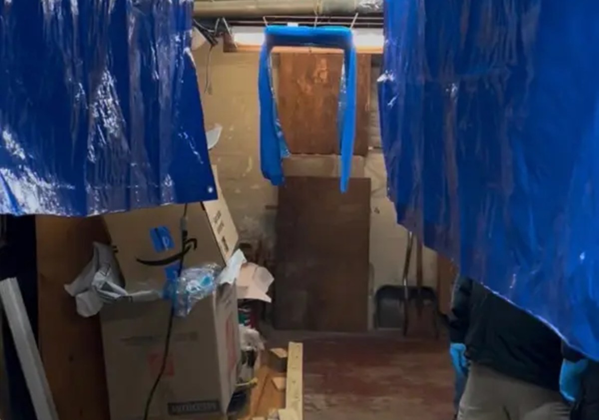 Hombre de Long Island acusado de montar arsenal ilegal y campo de tiro en su sótano