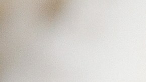 Los huevos son una fuente completa de proteínas y nutrientes esenciales