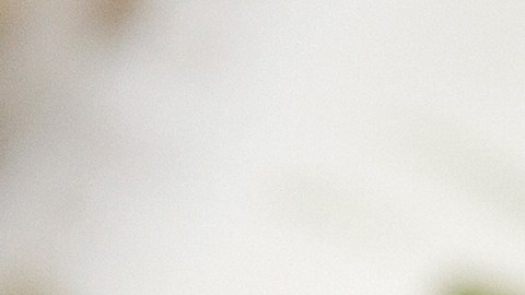 Los huevos son una fuente completa de proteínas y nutrientes esenciales