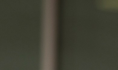 ICE detuvo a dos hermanos estudiantes del grupo musical Mariachi Oro de Texas