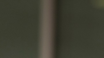 ICE detuvo a dos hermanos estudiantes del grupo musical Mariachi Oro de Texas