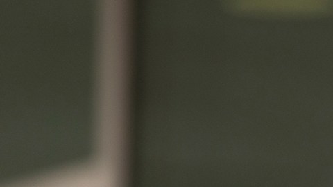 ICE detuvo a dos hermanos estudiantes del grupo musical Mariachi Oro de Texas