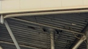 Crece llamado para que multimillonarios de NY paguen más impuestos