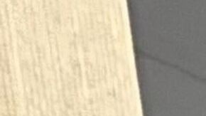 Activistas y trabajadores de esta industria vital para Nueva York exigen al Concejo Municipal acciones para nivelar el salario submínimo de esta fuerza laboral.