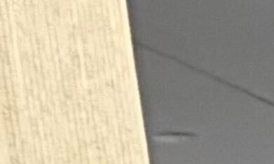 Activistas y trabajadores de esta industria vital para Nueva York exigen al Concejo Municipal acciones para nivelar el salario submínimo de esta fuerza laboral.