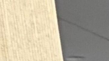 Activistas y trabajadores de esta industria vital para Nueva York exigen al Concejo Municipal acciones para nivelar el salario submínimo de esta fuerza laboral.