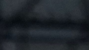 El presidente Donald Trump escucha a Jake Paul hablar en Verst Logistics.