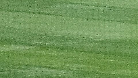 ¿Cuánto dinero ganan las selecciones en el Clásico Mundial de Béisbol?