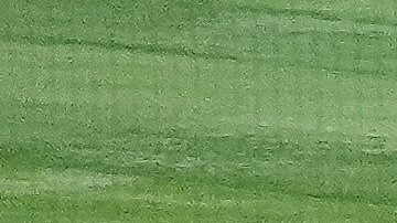 ¿Cuánto dinero ganan las selecciones en el Clásico Mundial de Béisbol?