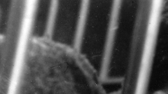 Katharine Hepburn fue una de las actrices más populares de una época de Hollywood.