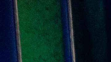 Pronto se conocerá al segundo eliminado por el público