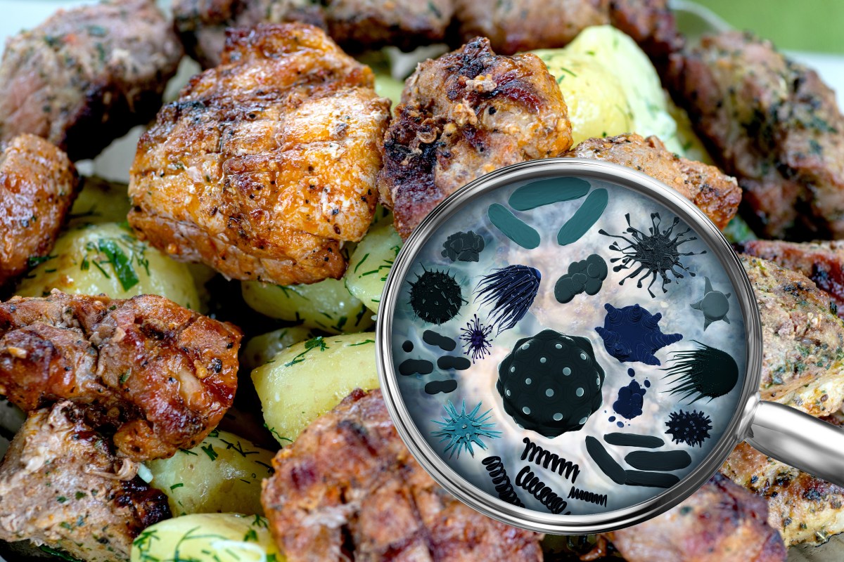 Bacterias invisibles: por qué un buen olor no garantiza seguridad de los alimentos