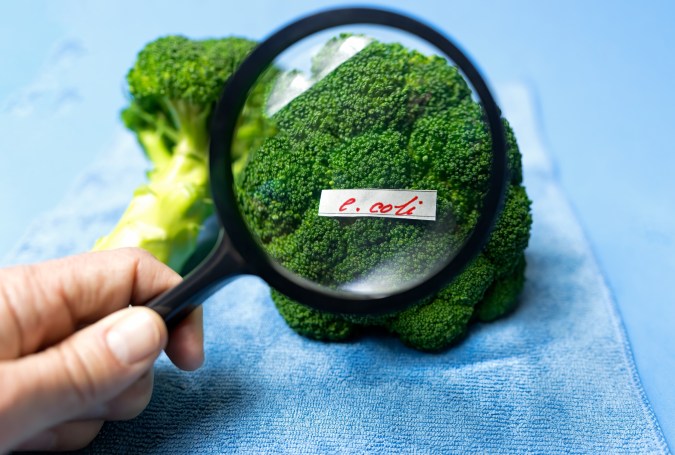 Conocer la vida útil de tus alimentos es clave para evitar intoxicaciones.
