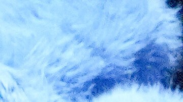 Ca7riel y Paco Amoroso en los premios Latin Grammy 2025.