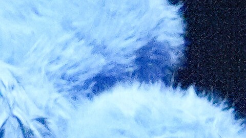 Ca7riel y Paco Amoroso en los premios Latin Grammy 2025.