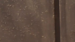 Lisa Marie Presley usó esta propiedad por cinco años para compartir con amigos y familiares.