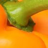 Imagen de dos figuras ilustrativas de los riñones rodeada de alimentos saludables,