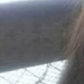 Estrada Suárez deberá recuperar el estatus que tenía antes de su deportación.