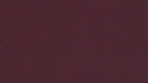 Michelle Galván, presentadora del programa Primer Impacto.