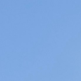 El pelotón avanza hacia la curva 16 durante una carrera de la NASCAR Cup Series.