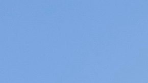 El pelotón avanza hacia la curva 16 durante una carrera de la NASCAR Cup Series.