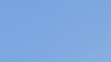 El pelotón avanza hacia la curva 16 durante una carrera de la NASCAR Cup Series.