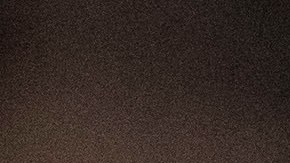 El porcentaje de mujeres policías en NYPD, según datos oficiales de comienzos de 2025, asciende a 21%.