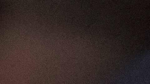 El porcentaje de mujeres policías en NYPD, según datos oficiales de comienzos de 2025, asciende a 21%.