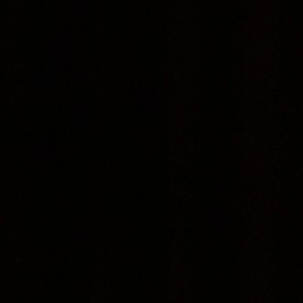 Trump hace pública entre risas enfermedad terminal del congresista republicano Neal Dunn