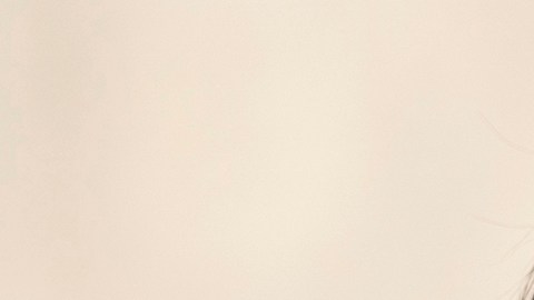 Corte Suprema frena rediseño de distrito republicano en Nueva York ante las elecciones de 2026