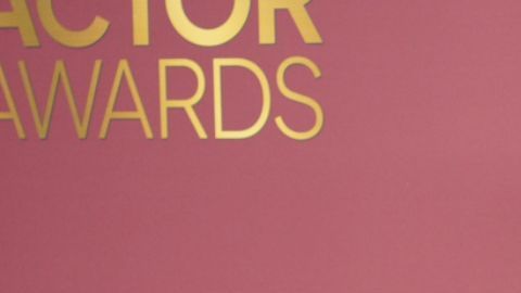 El protagonista de "The Pitt" brilló en la temporada de premios por su trabajo como el doctor Robinavitch