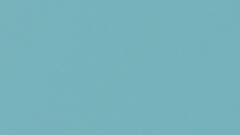 Una nuez pelada colocada simétricamente frente a un modelo de cerebro, simbolizando la nutrición cerebral y los alimentos funcionales.