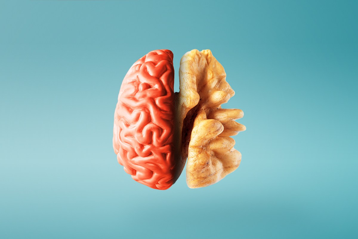 Los 5 mejores frutos secos para proteger tu cerebro y fortalecer el corazón