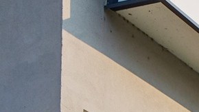 Pagar renta en Estados Unidos no es solo una cuestión de vivienda, sino que influye también en la estabilidad financiera de tu hogar.