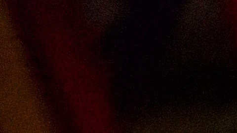 “La comida de Bar Manje es una cocina caribeña audaz y llena de alma, con un toque moderno”, explica el chef.