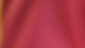 Paul Anka compró esta casa en 2007.