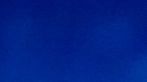 Pink también podría pasar a ser parte del programa 'The Kelly Clarkson Show'.