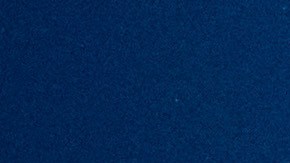 Pitbull fundó en 2009 su propio sello discográfico independiente.