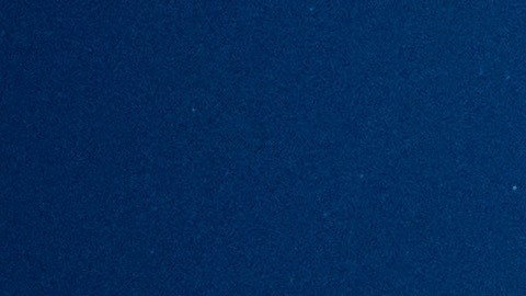 Pitbull fundó en 2009 su propio sello discográfico independiente.